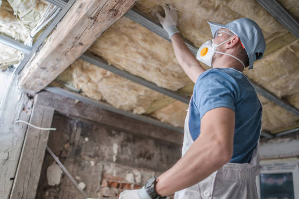 Best Insulation Maintenance and Repair in Bloomfield, IN