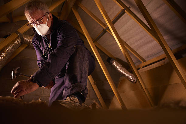 Best Residential Insulation in Bloomfield, IN